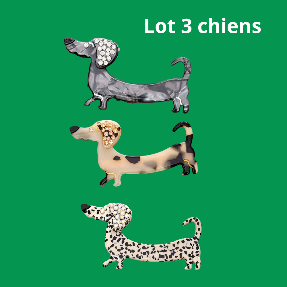 barrette chien en lot de 3