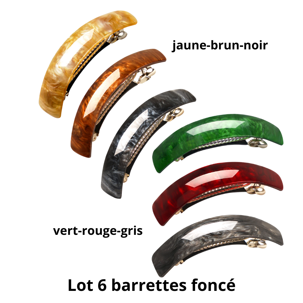 barrette pour cheveux lot 6 couleur fonce