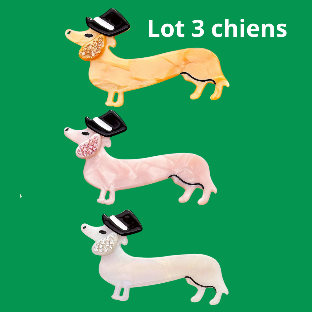 barrette chien avec chapeau lot de 3