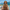 barrette femme porte dans cheveux paysage plage