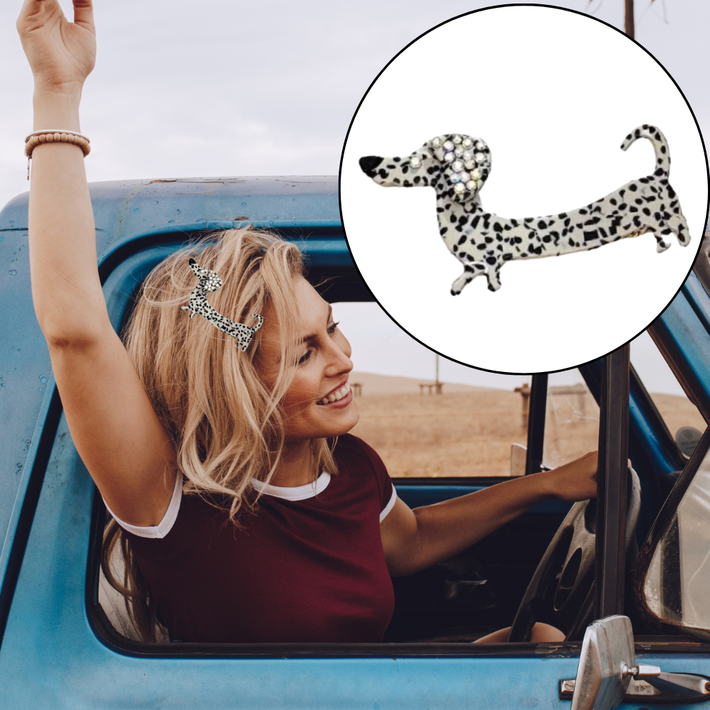 femme heureuse au volant camionnette barrette cheveux